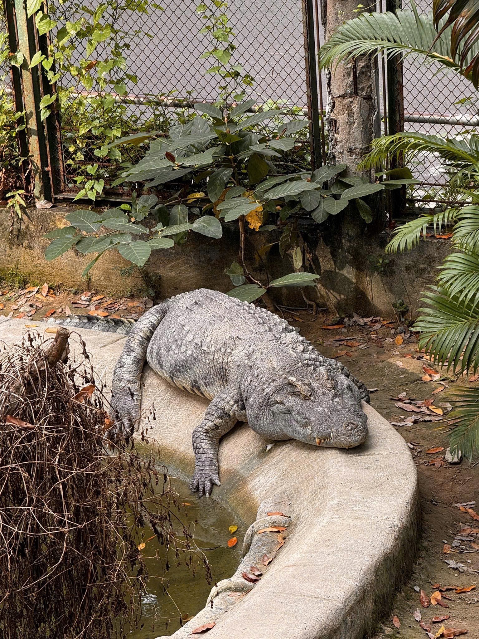 1763608914 552 Ca sau Thao Cam Vien duoc rua oan va lai