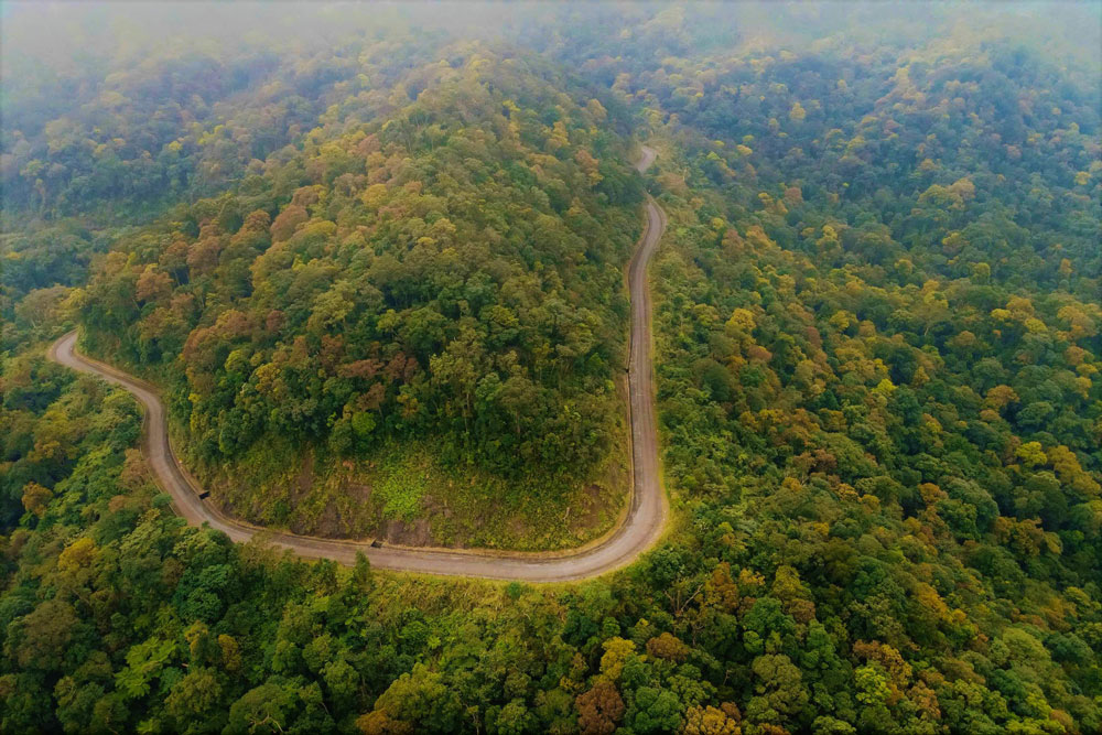 Những kho báu ở Phong Nha - Kẻ Bàng - Ảnh 2.
