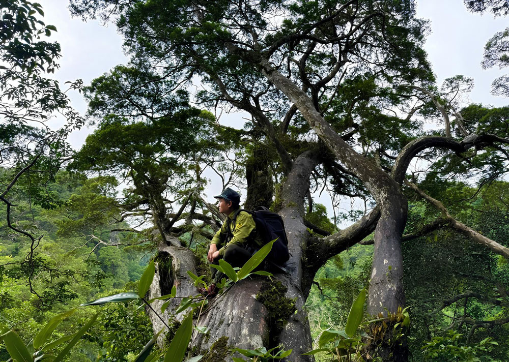 Những kho báu ở Phong Nha - Kẻ Bàng - Ảnh 3.