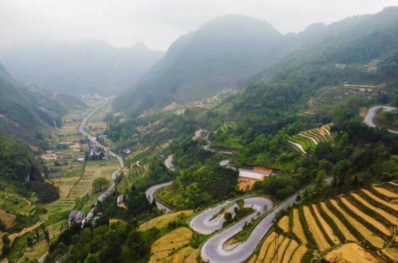 Tỉnh duy nhất Việt Nam có 43.000ha trồng loài hoa quý amp;#34;so kèamp;#34; top đầu thế giới với Trung Quốc, cho vào món ăn thơm nức - 5