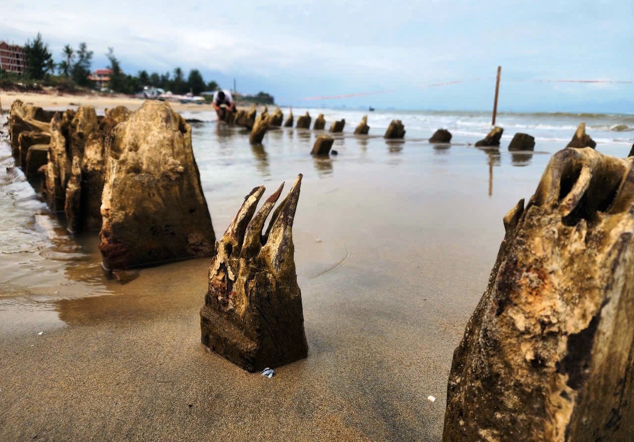 Tàu cổ phát lộ ở bờ biển Hội An: Nguy cơ hủy hoại nếu chậm can thiệp - Ảnh 4.