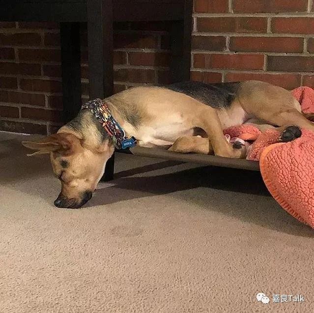 Nhiều du khách bất ngờ về văn hóa ngủ trưa ở Sơn Tây. Ảnh: 163.