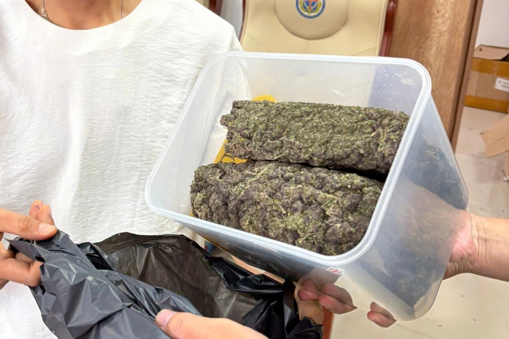 Bí mật đằng sau nhóm Cô tiên thơm. Chuyên mùi - 2