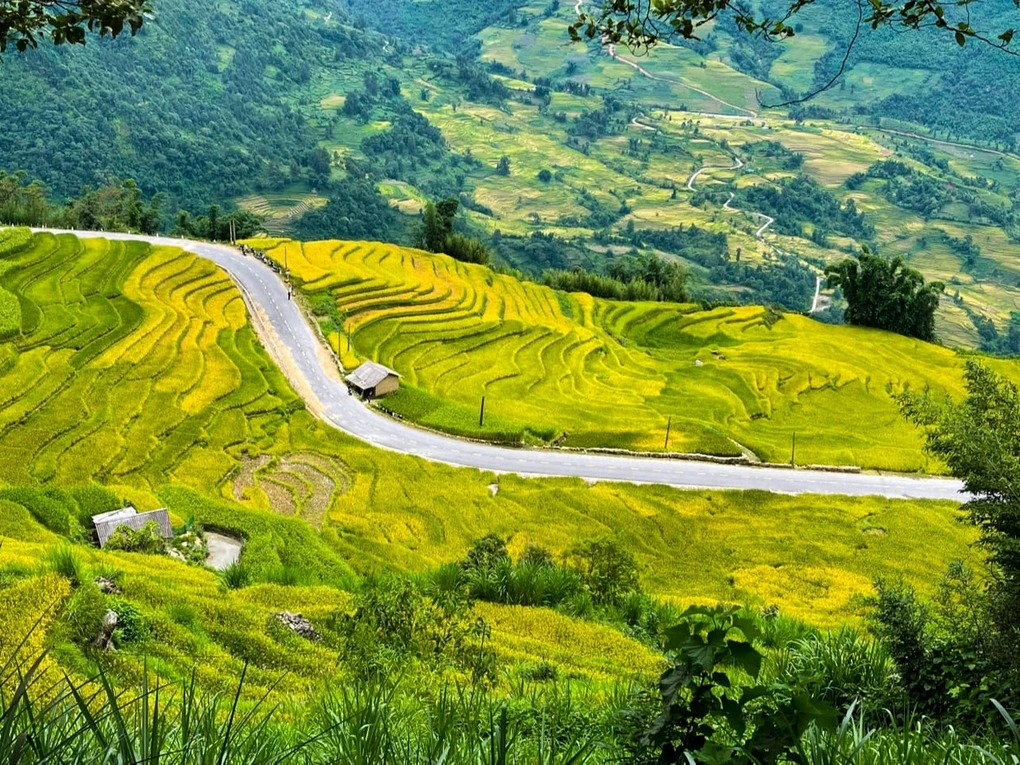 Nhiều hộ gia đình ở Lào Cai thoát nghèo nhờ kết hợp nông nghiệp - du lịch - 3