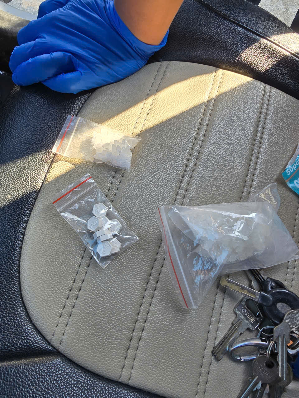 Khám xét chỗ ở, bắt 