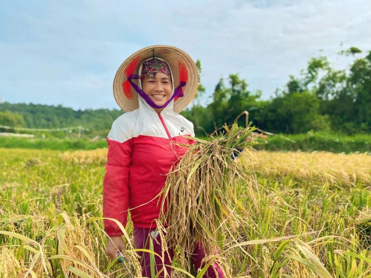 Khách Tây đi du lịch xuống ruộng gặt lúa, kéo cày cùng nông dân trên đảo Cô Tô - 6