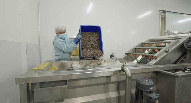 Đạm dế trong mì gói dinh dưỡng: Tầm nhìn mới của Rec Rec về tương lai thực phẩm tiện lợi- Ảnh 2.