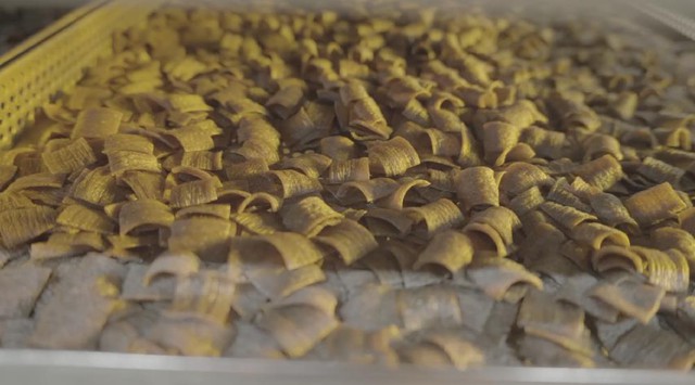 Đạm dế trong mì gói dinh dưỡng: Tầm nhìn mới của Rec Rec về tương lai thực phẩm tiện lợi- Ảnh 3.