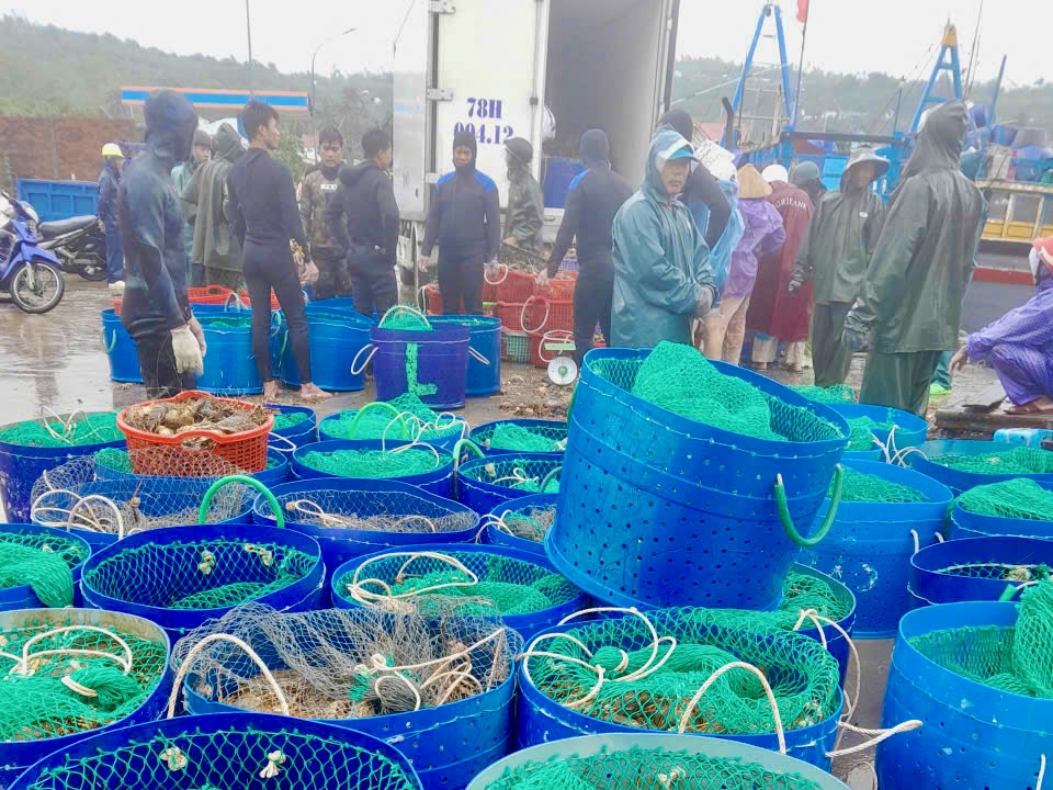 Lũ lụt miền Trung: ít nhất 50 người chết, mất tích; Tiếp tục cứu hộ trong đêm - Ảnh 11. Phú Yên lại mưa như trút, cứu hộ xuyên đêm cứu người trong lũ dữ - Ảnh 13.