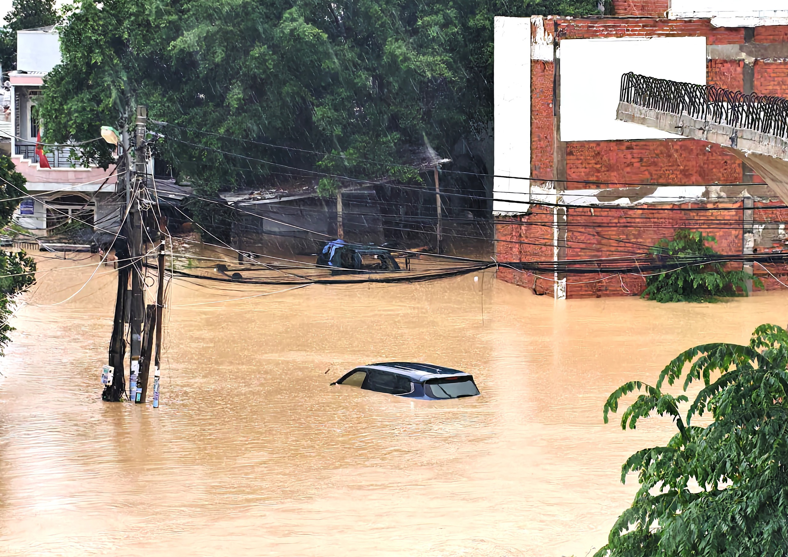 Phó thủ tướng Hồ Quốc Dũng: Phải tập trung cứu dân, không để người dân đứng trên nóc nhà cầu cứu - Ảnh 2.