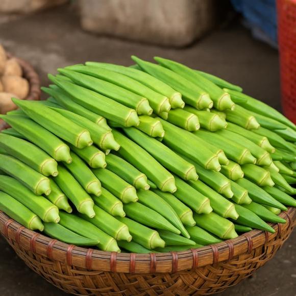 rau tăng 3 giá rau, rau tăng giá, kiến thức