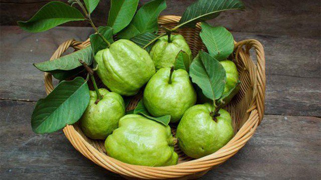 Hãy chọn ổi chín tới, bỏ hạt và nhai kỹ để giảm gánh nặng cho hệ tiêu hóa.