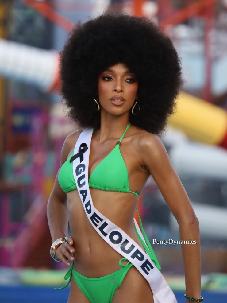 Ai đăng quang Hoa hậu Hoàn vũ 2025 - 16