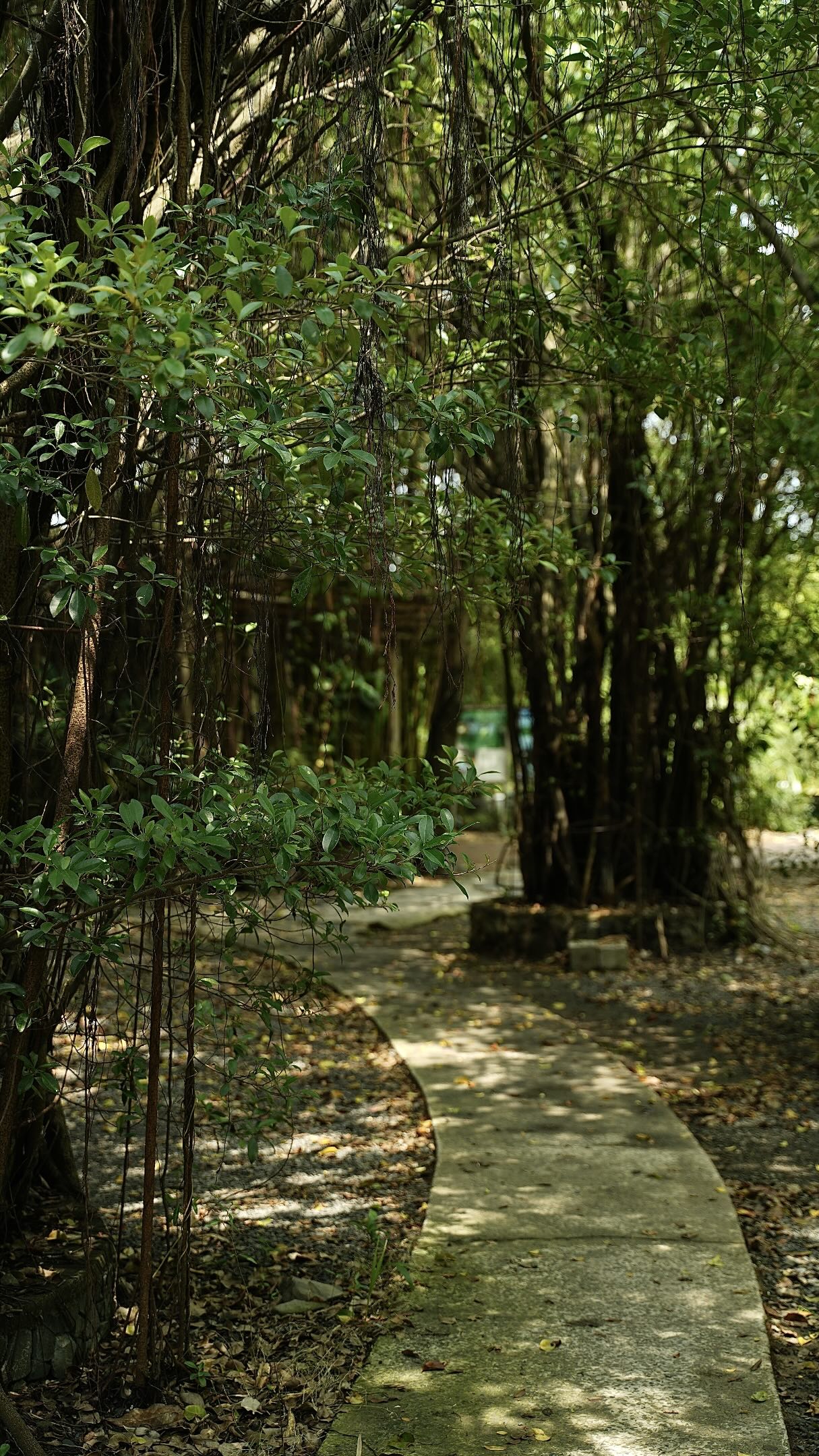 1.000 người chen chúc trong 