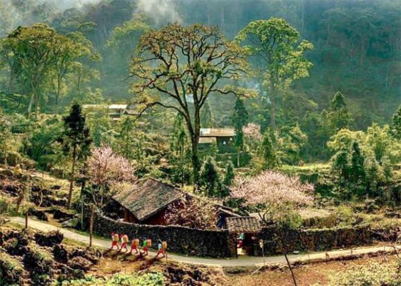 viet-nam-co-mot-lang-dia-nguc-nam-an-minh-giua-may-tren-nui (1).jpg 0 Làng địa ngục, Sảo Há, Du lịch Tây Bắc