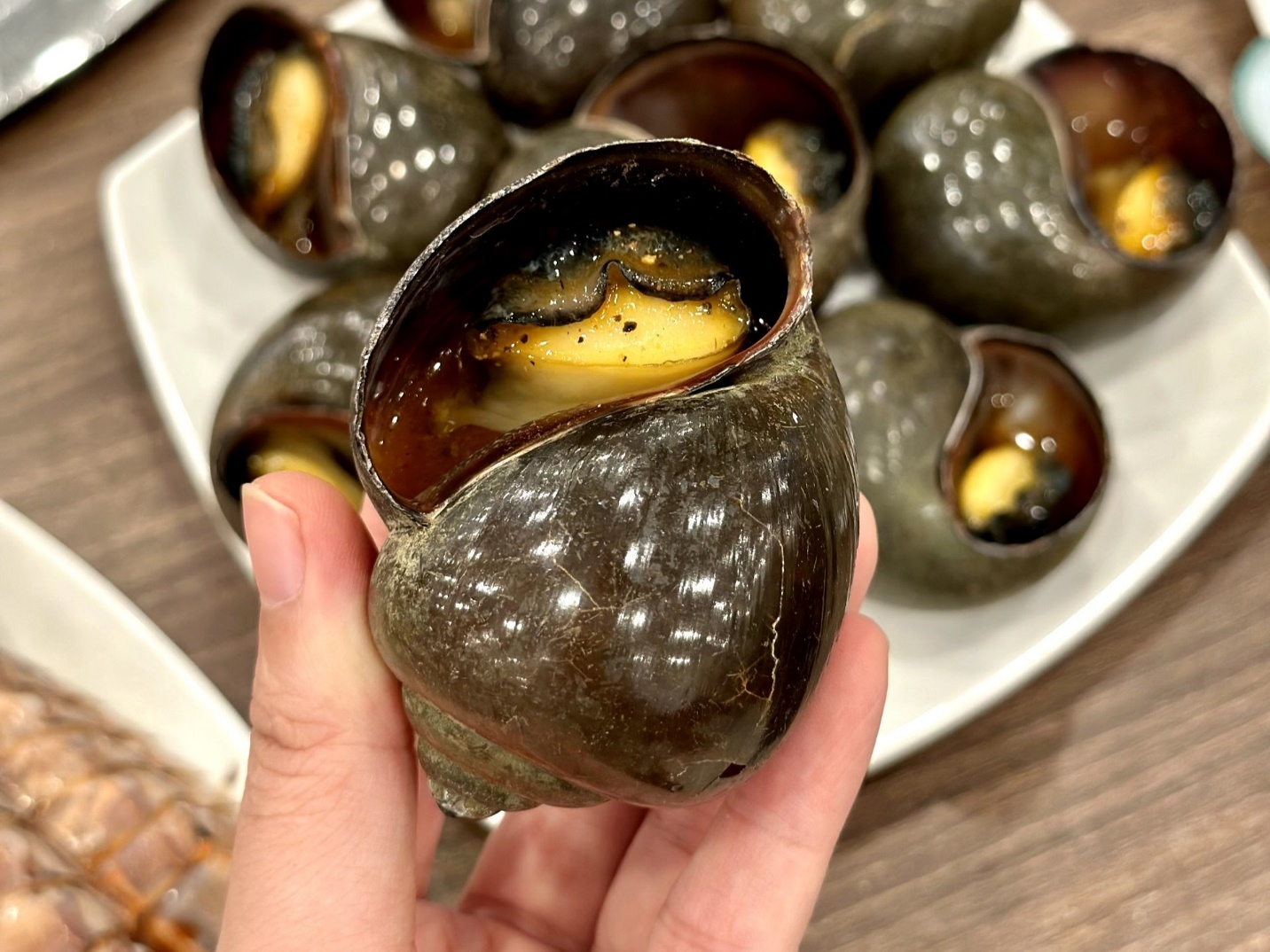 Loại ốc nào cũng có