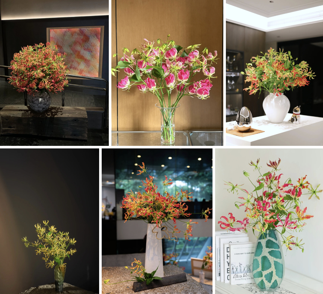 Hoa ngót nghẻo đẹp mê như bó lửa đỏ nhưng cực độc: Mẹ nào mê cắm Tết nhớ đọc kỹ trước khi mua- Ảnh 2.