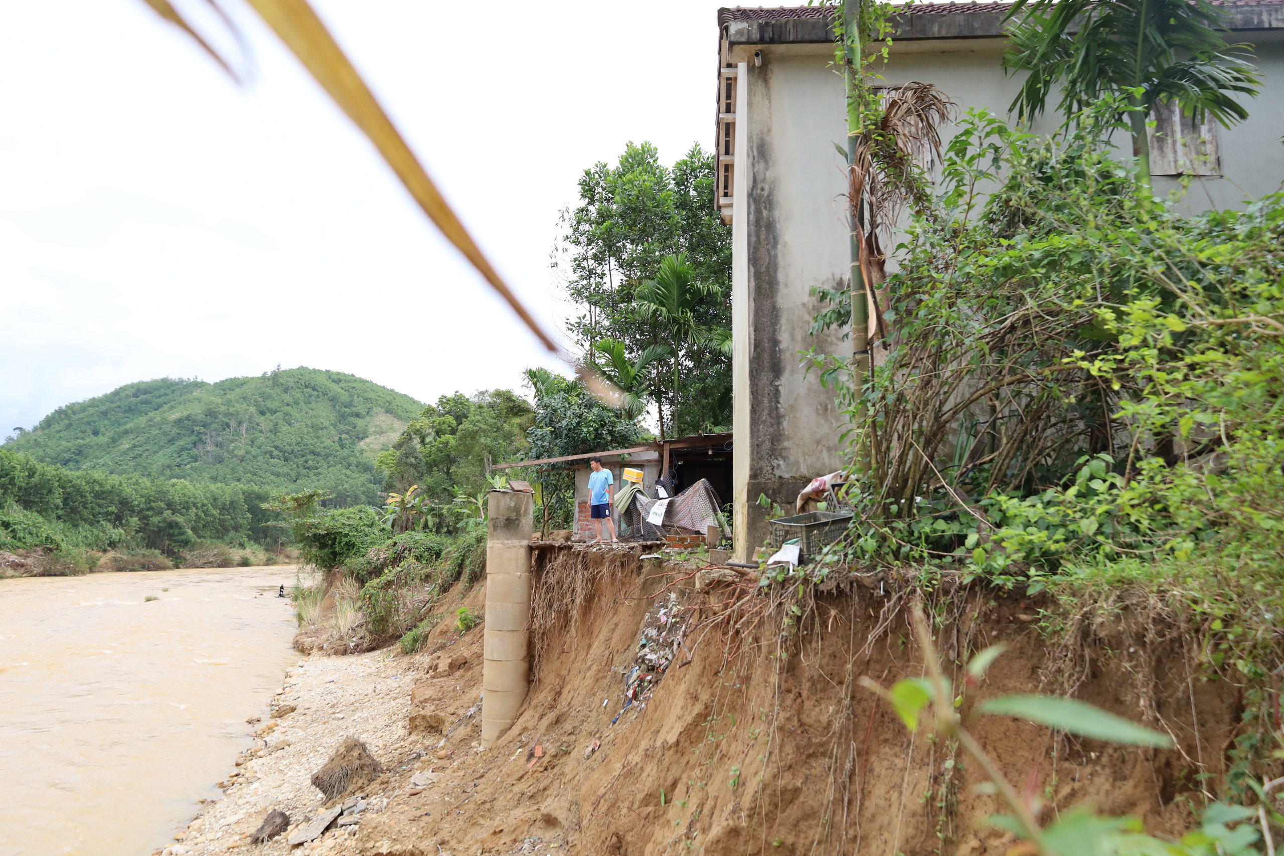 Người dân Đà Nẵng tố thủy điện xả lũ gây thiệt hại nặng nề cho sản xuất - Ảnh 5.