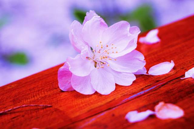 Phụ nữ giữ được sự tĩnh lặng trong 2 việc này rất khôn ngoan, ắt có phúc đức sâu dày - 2