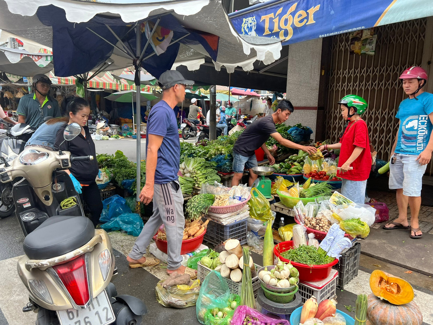 Lý do nguồn cung khá ổn định nhưng giá rau tăng chóng mặt ở TPHCM- Ảnh 2.