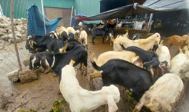 Nha Trang - Ảnh 5.