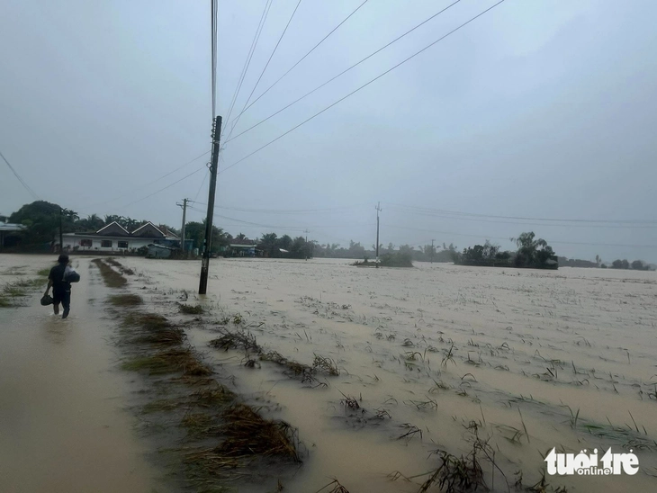 Nha Trang - Ảnh 7.
