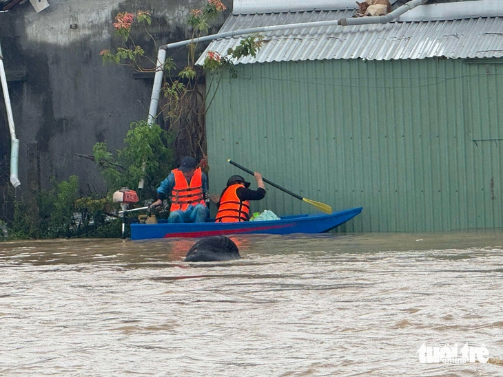 Phó thủ tướng thị sát vùng lũ Đa Nhim, yêu cầu 10 ngày phải thông đèo Mimosa - Ảnh 10.