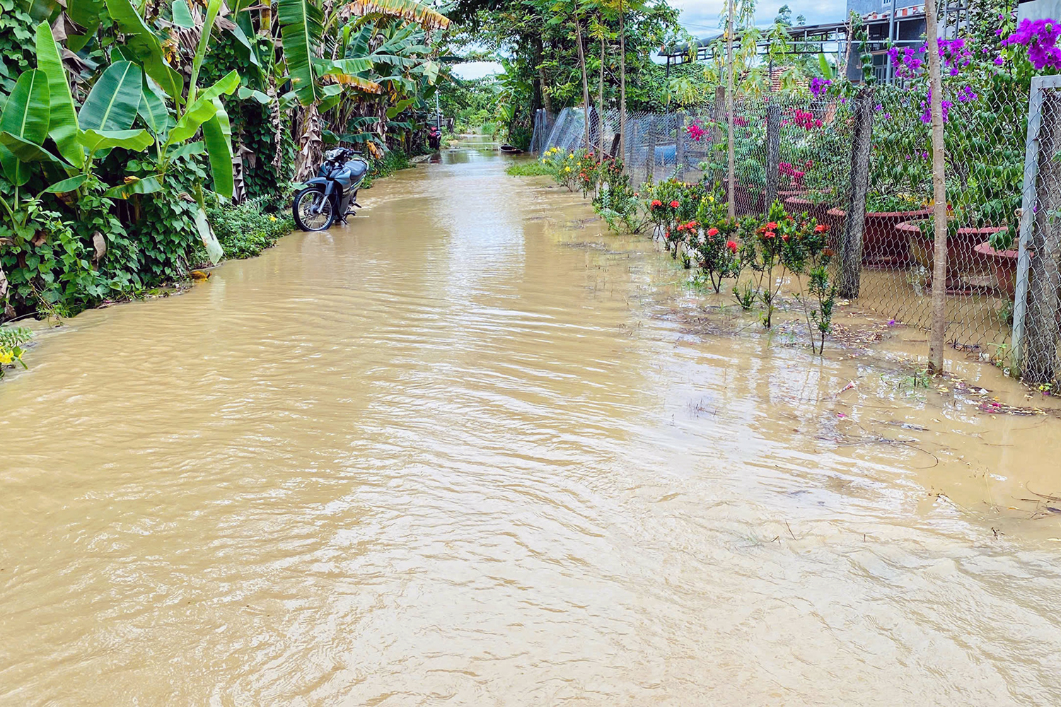 ngập lụt - Ảnh 3.