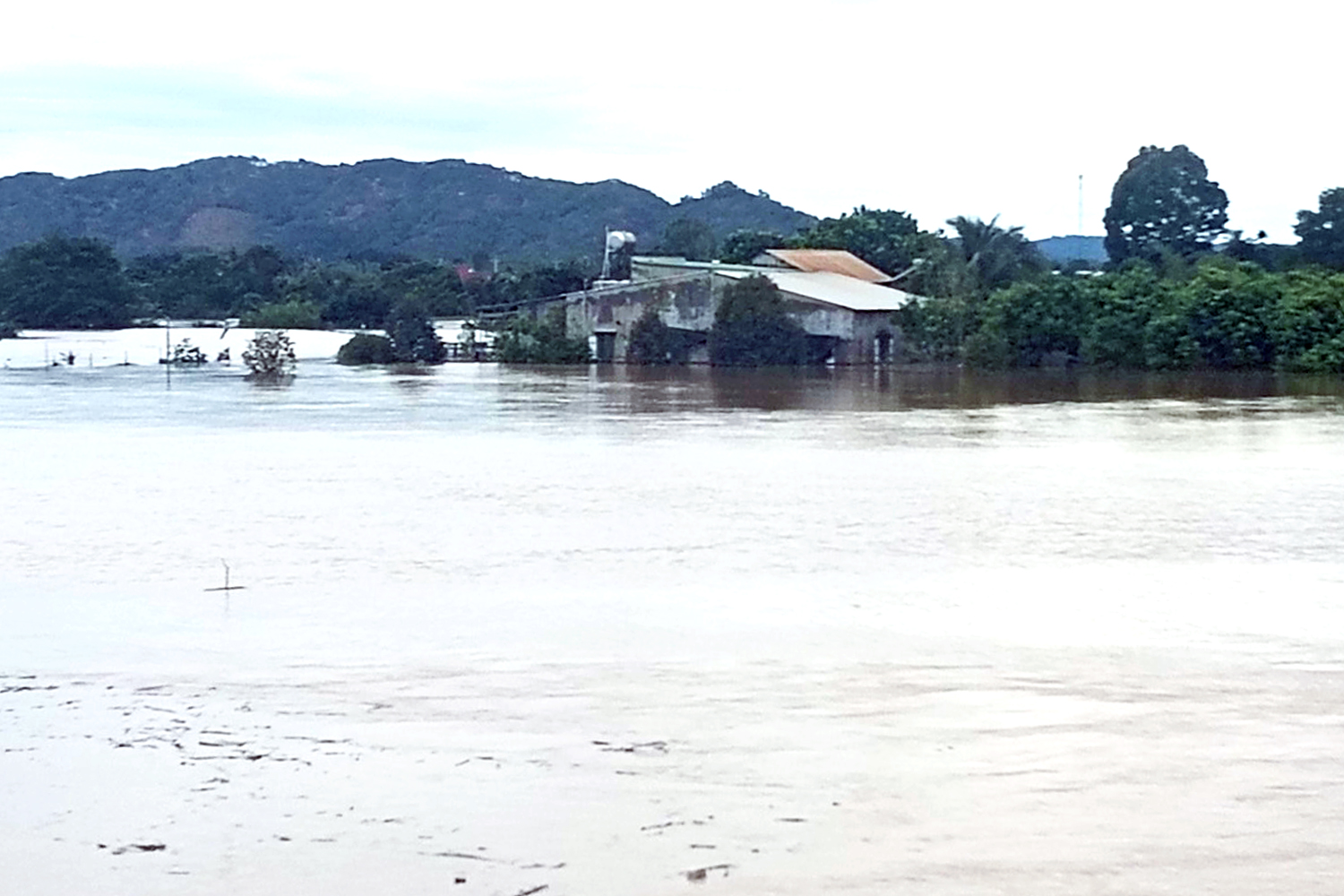 ngập lụt - Ảnh 5.