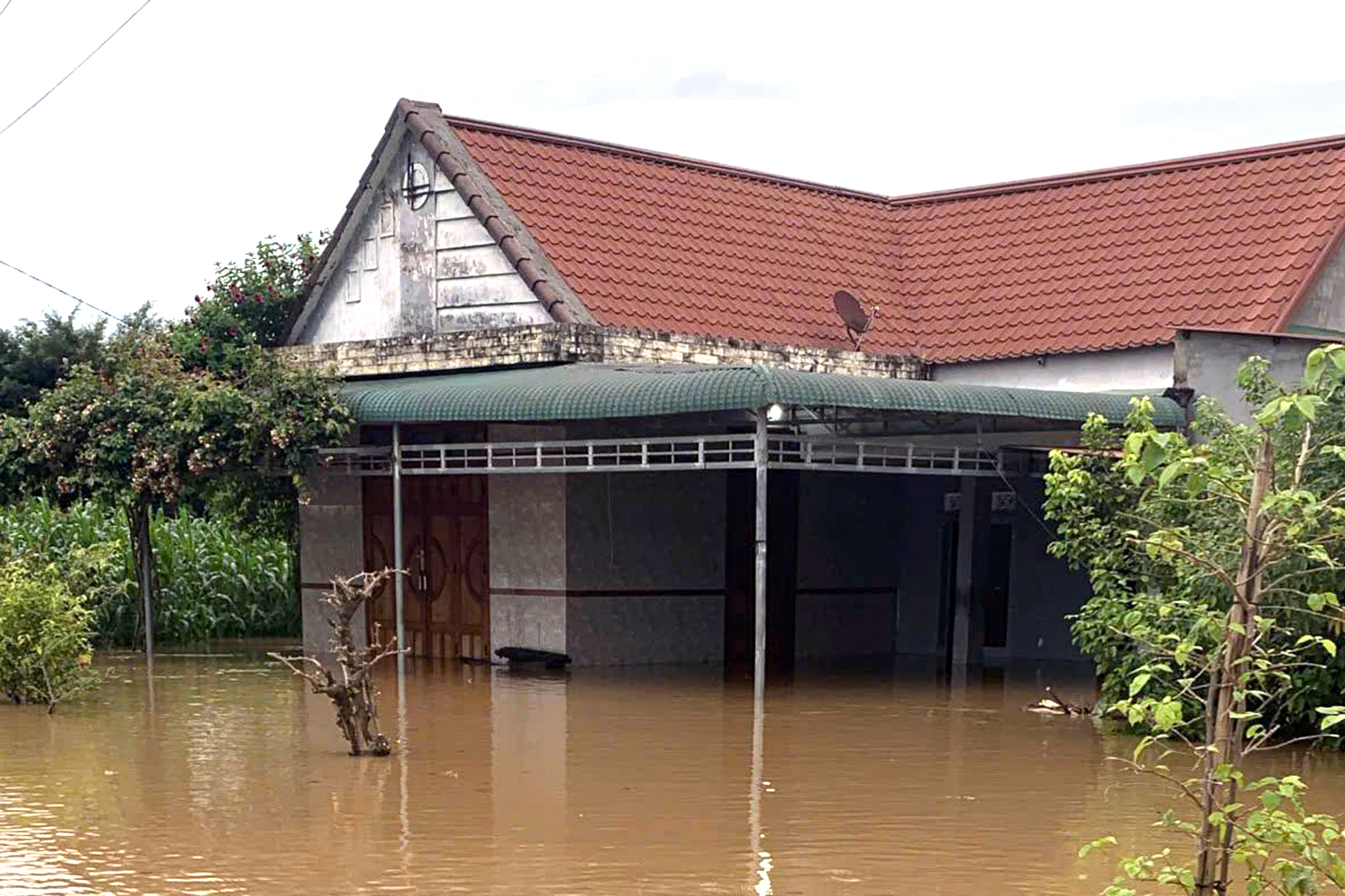 ngập lụt - Ảnh 6.