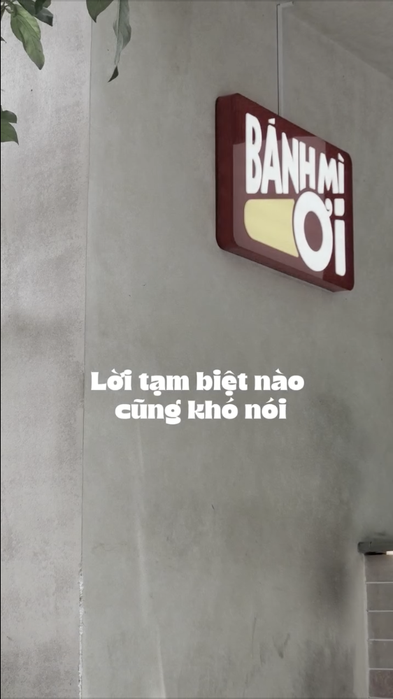 Bánh Mì Ơi gây hoang mang- Ảnh 3. Bánh Mì Ơi gây hoang mang- Ảnh 3.