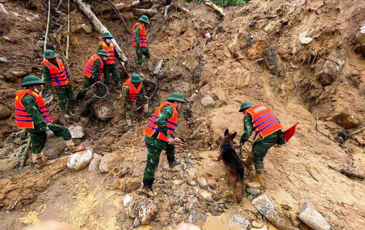 Cận cảnh chó nghiệp vụ Làng Nủ lên núi Đà Nẵng tìm 2 người mất tích- Ảnh 5.