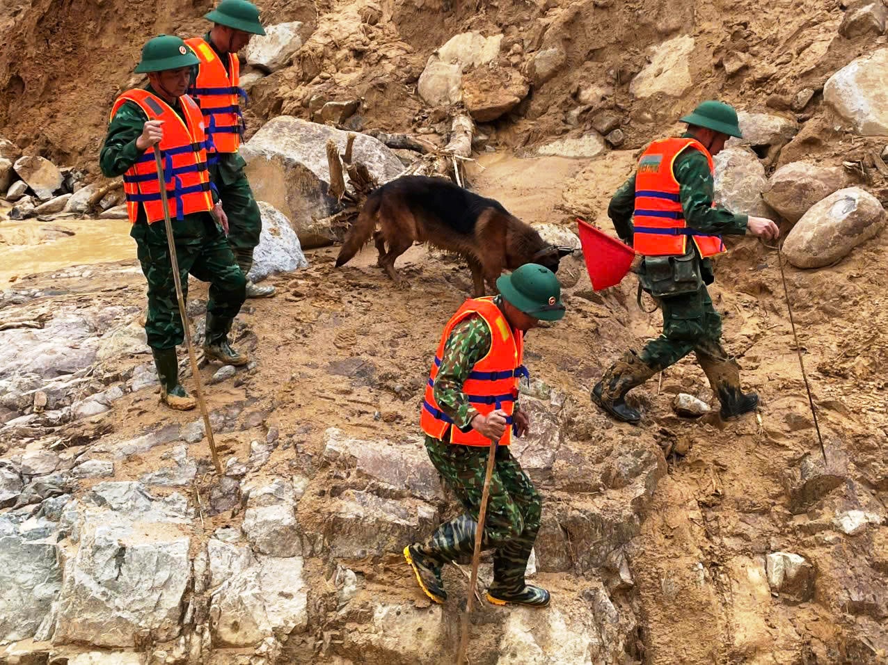 Cận cảnh chó nghiệp vụ Làng Nủ lên núi Đà Nẵng tìm 2 người mất tích- Ảnh 6.