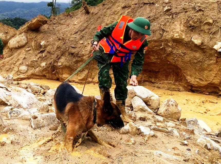 Cận cảnh chó nghiệp vụ Làng Nủ lên núi Đà Nẵng tìm 2 người mất tích- Ảnh 12.