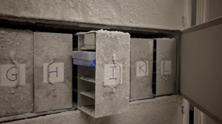 Có gì trong những căn hầm tận thế bí mật nhất hành tinh?- Ảnh 4.