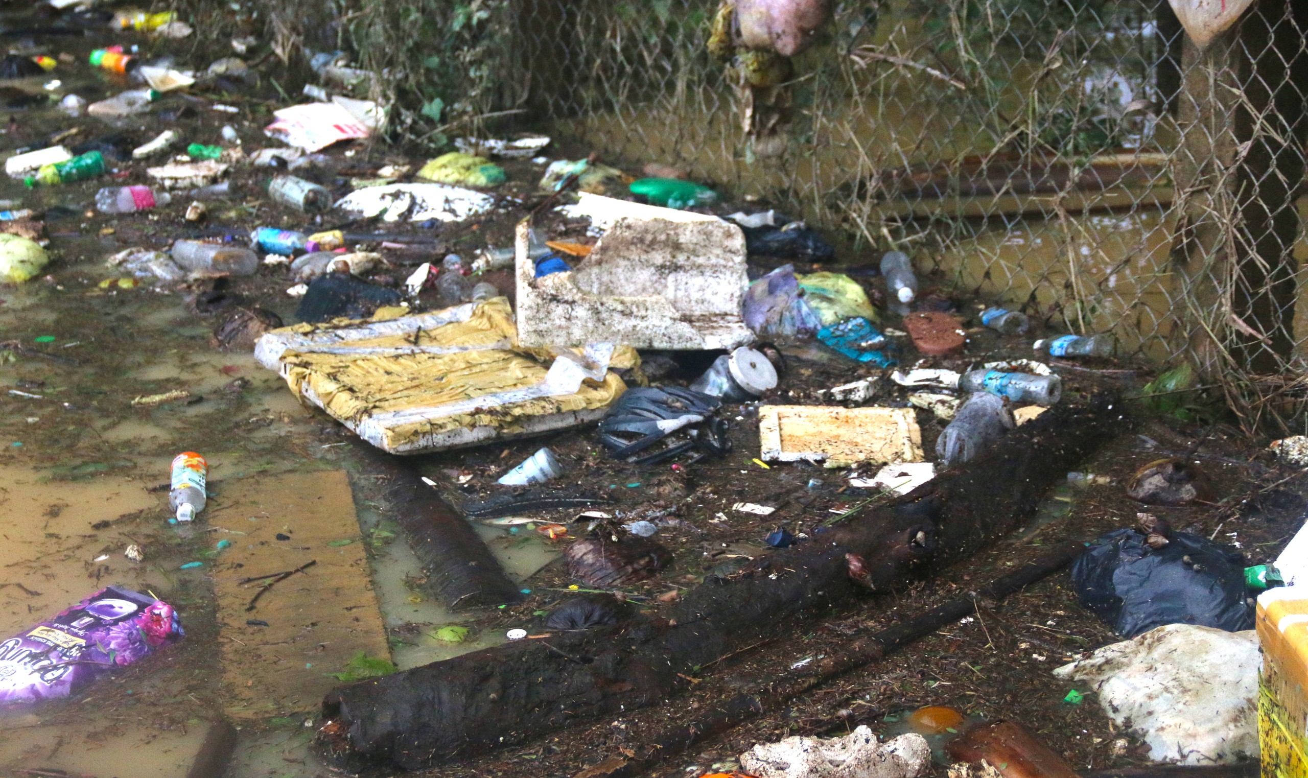 Hành trình giải cứu bé gái sơ sinh 20 ngày tuổi trong tâm lũ ở Khánh Hòa - Ảnh 4. Hành trình giải cứu bé gái sơ sinh 20 ngày tuổi trong tâm lũ ở Khánh Hòa - Ảnh 4.