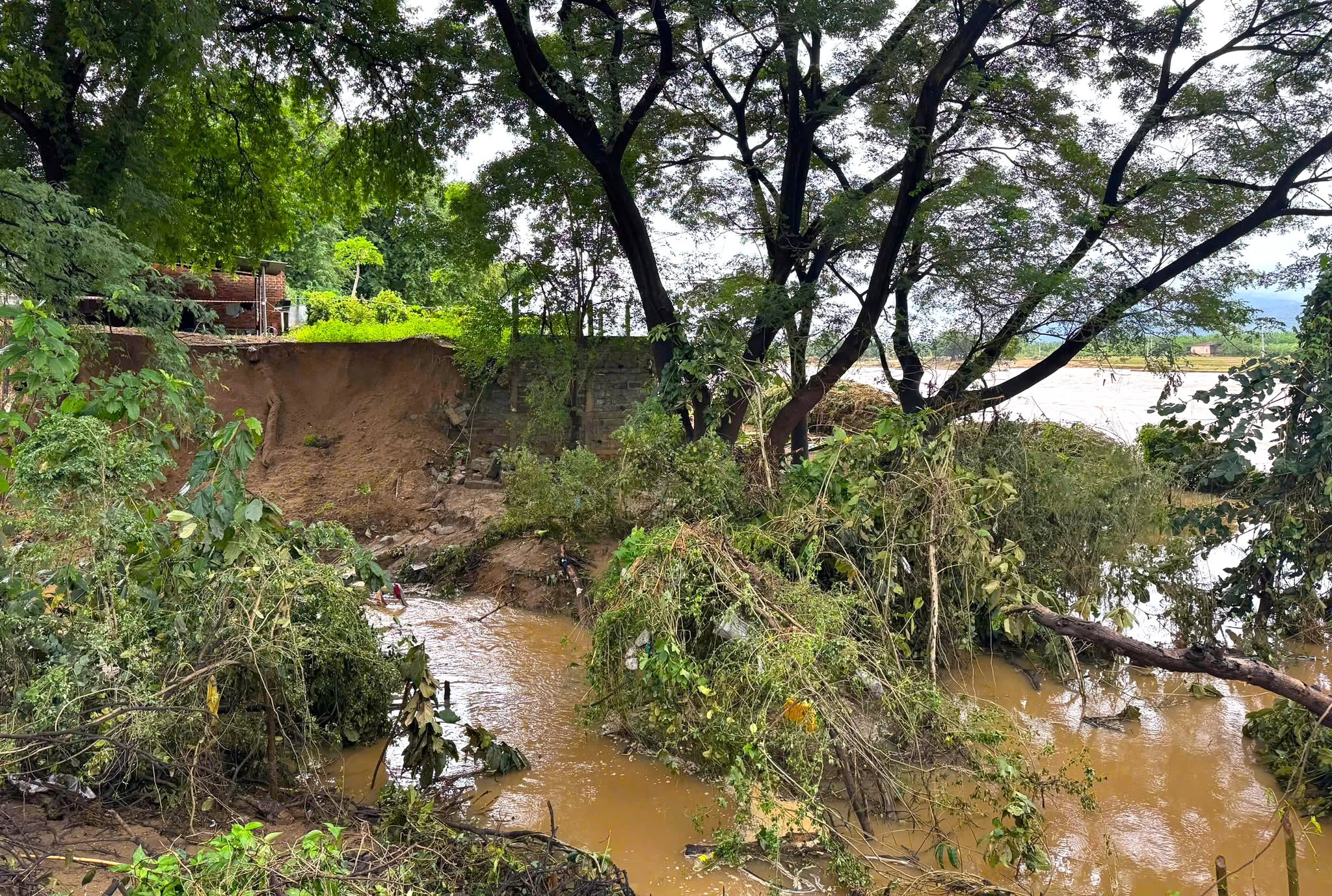 Sạt lở 5km dọc sông Cái Phan Rang, uy hiếp quốc lộ 27 đi Lâm Đồng 3 mưa lũ - Ảnh 4.