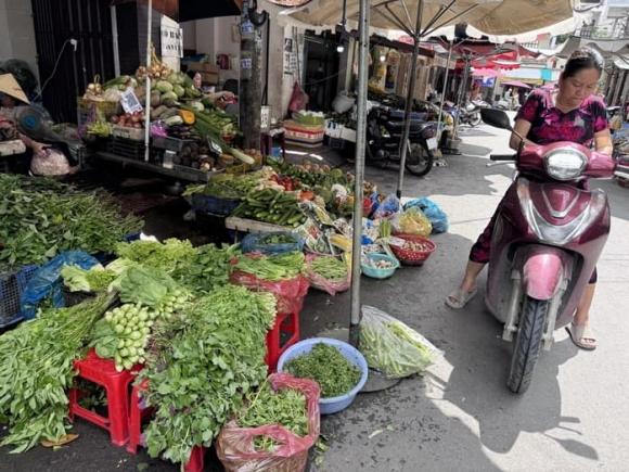 rau xanh tăng giá 2 Giá rau xanh tăng cao, thị trường rau xanh