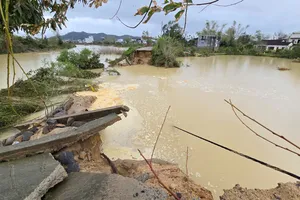Vỡ đê sông ở Gia Lai: Người dân bàng hoàng đi tìm bò, gà bị nước cuốn