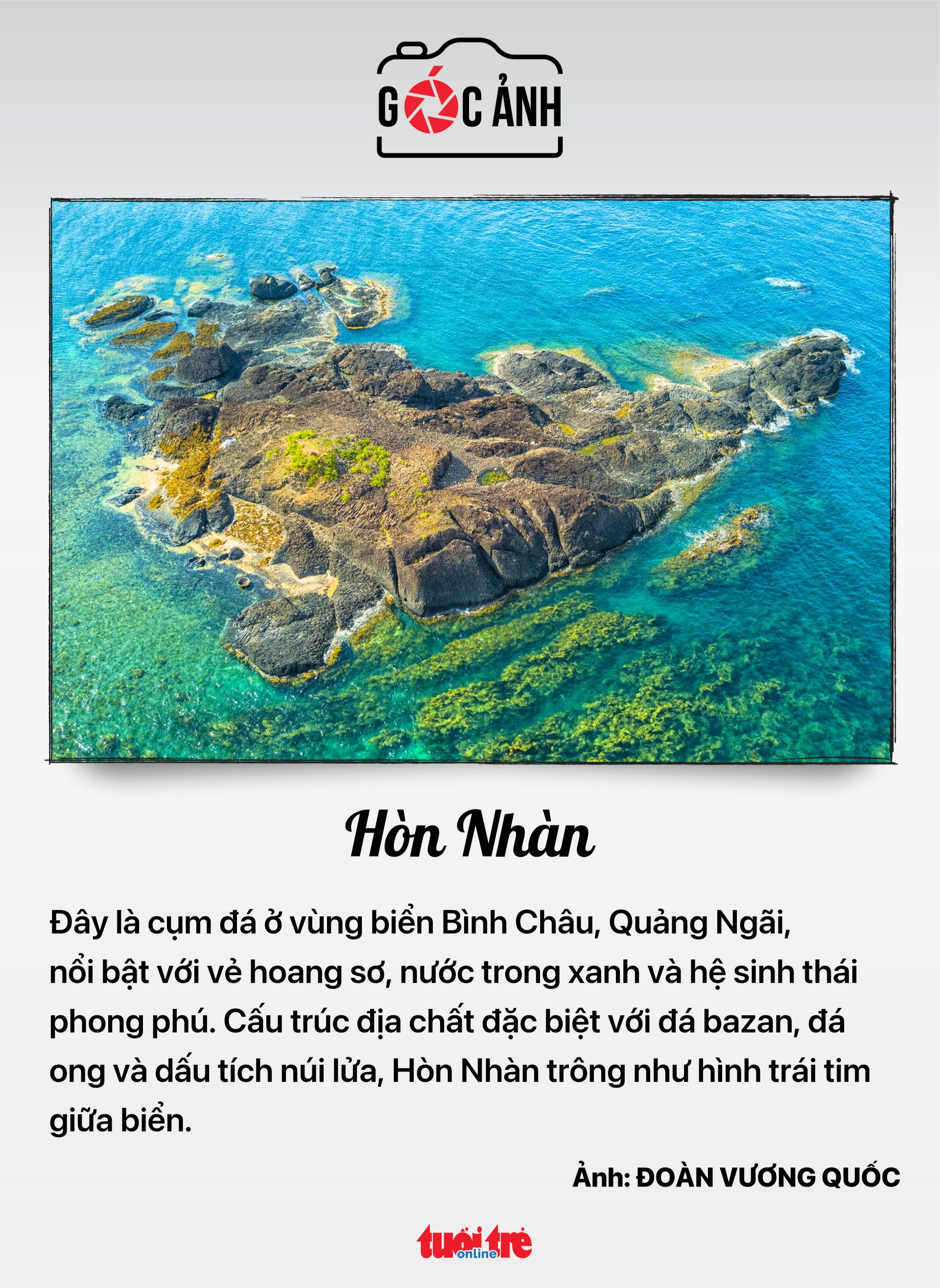 tin tức - Ảnh 7.