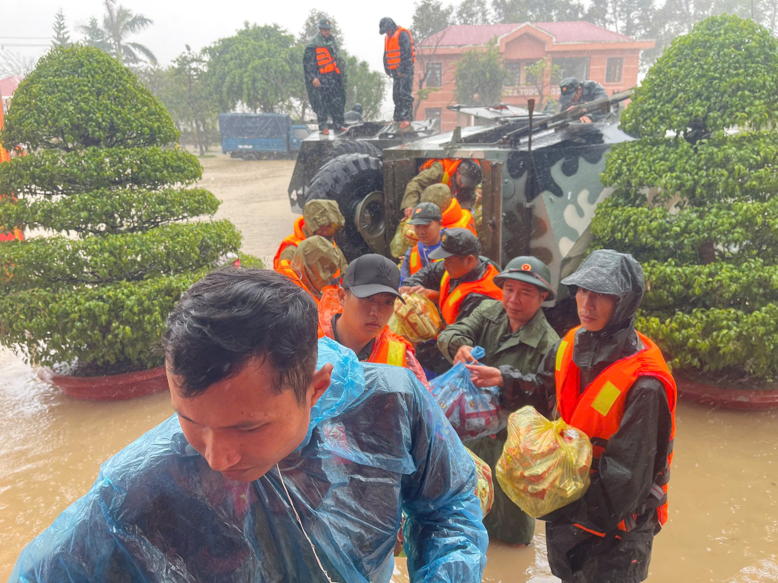 - Ảnh 8. - Ảnh 8.