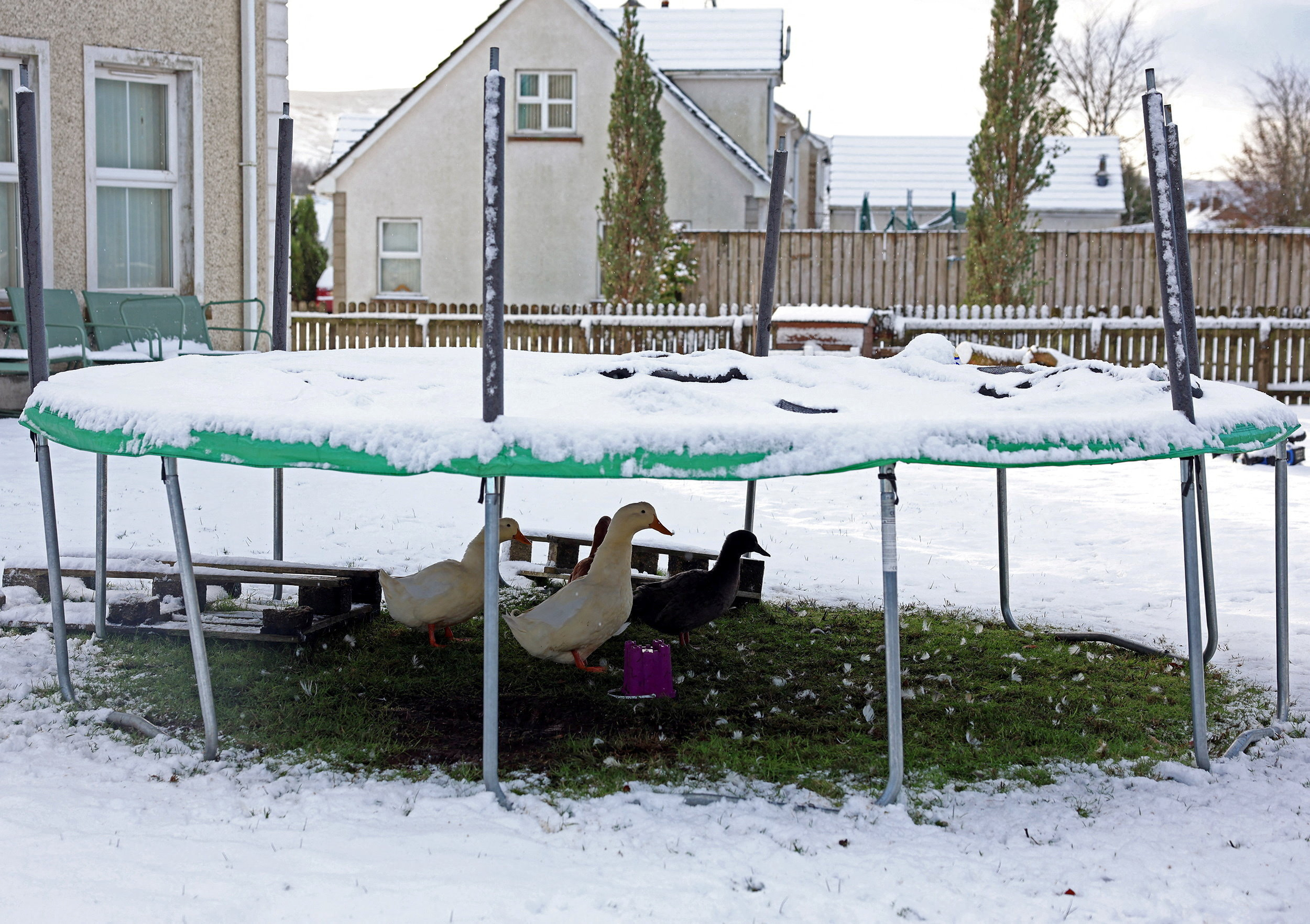 Tin tức thế giới 22-11: Nga - Mỹ đồng loạt gây sức ép buộc Ukraine chấp nhận kế hoạch hòa bình - Ảnh 5.