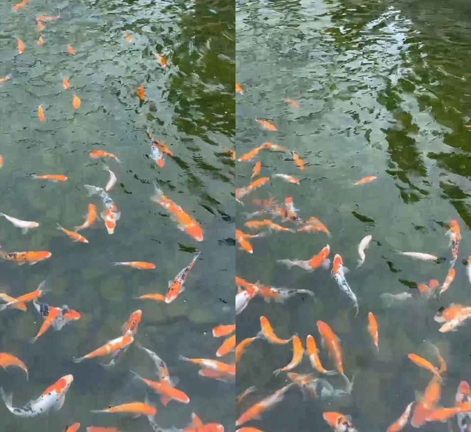 Tài sản của Trường Giang - Nhã Phương- Ảnh 6.