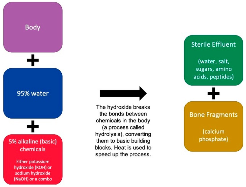 Liệu hỏa táng bằng nước có trở thành cách an táng mới của người Mỹ?- Ảnh 2.