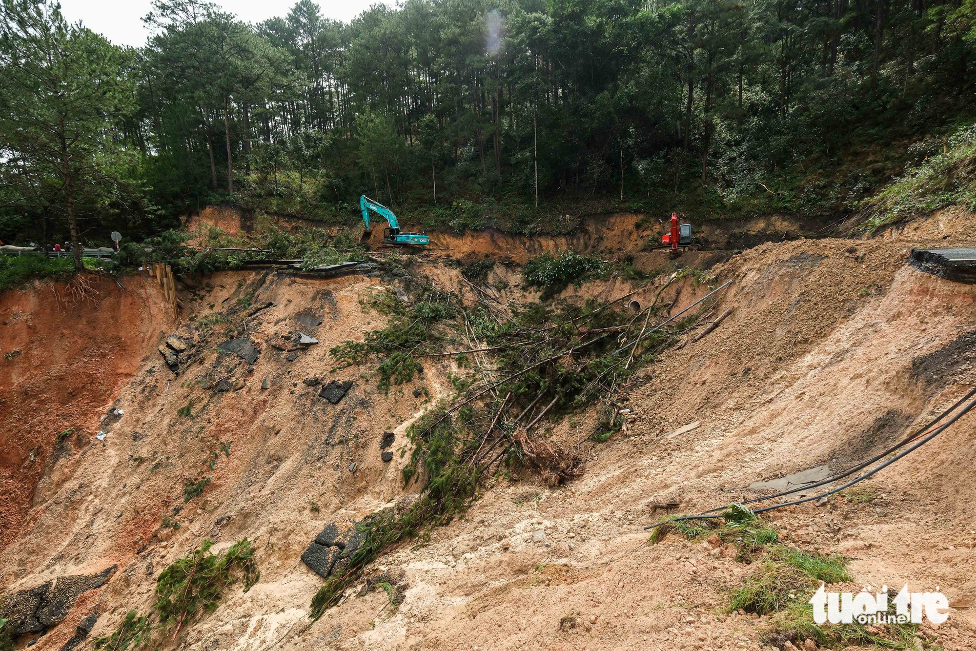 Đà lạt - Ảnh 3.