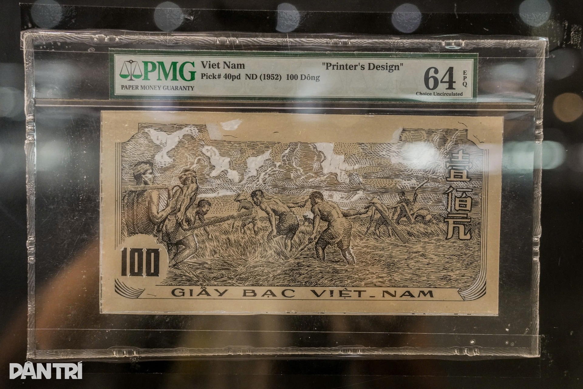 TPHCM lần đầu trưng bày hơn 1.500 hiện vật tiền Việt Nam qua các thời kỳ - 9