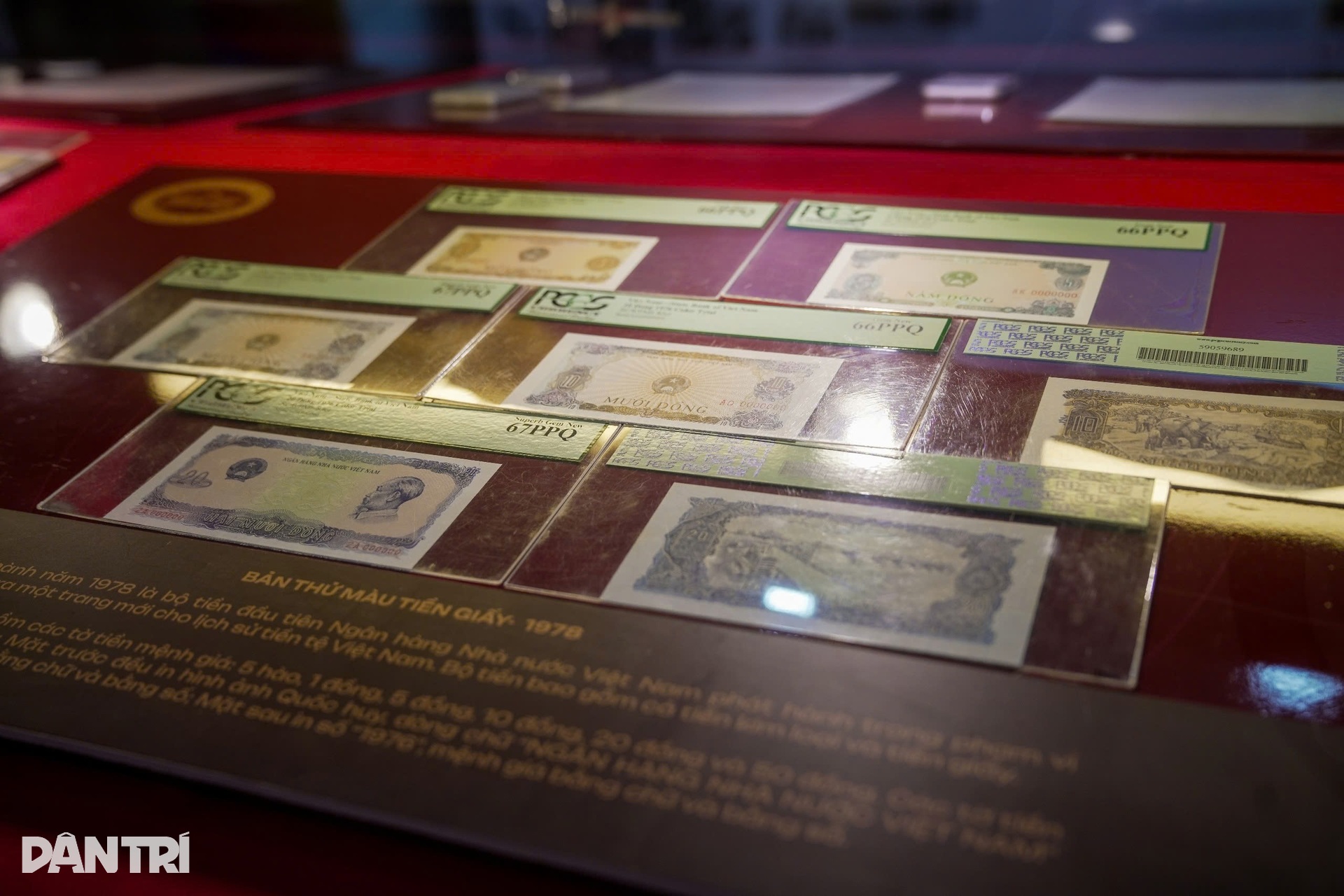 TPHCM lần đầu trưng bày hơn 1.500 hiện vật tiền Việt Nam qua các thời kỳ - 10