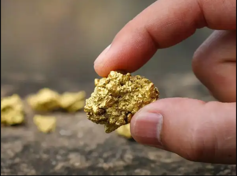 Phát hiện 150 tấn vàng trị giá hơn 120.000 tỷ đồng, cảnh sát lập tức phong tỏa khu vườn của một nông dân- Ảnh 3. Phát hiện 150 tấn vàng trị giá hơn 120.000 tỷ đồng, cảnh sát lập tức phong tỏa khu vườn của một nông dân- Ảnh 3.