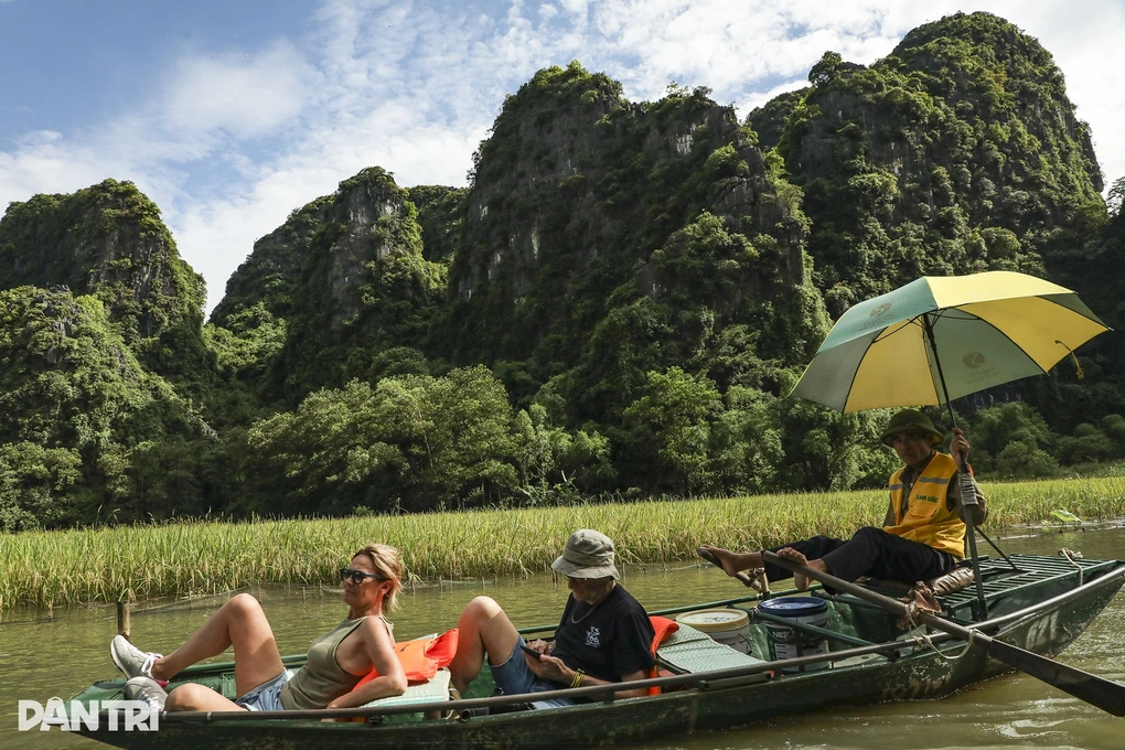 Khách Tây mê làm nông dân ở Việt Nam: Sáng cấy lúa, chiều chăn trâu - 4