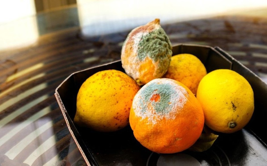 Thói quen ăn uống tưởng tiết kiệm nhưng lại rước nguy hiểm vào người - 2